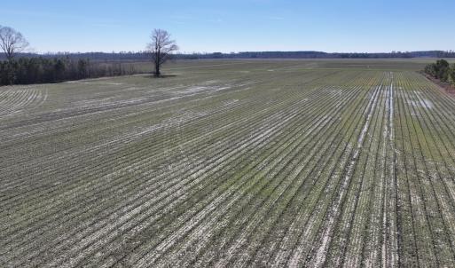 Photo #24 of Off Middle Swamp Rd, Corapeake, NC 49.0 acres