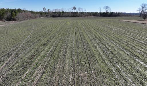 Photo #25 of Off Middle Swamp Rd, Corapeake, NC 49.0 acres