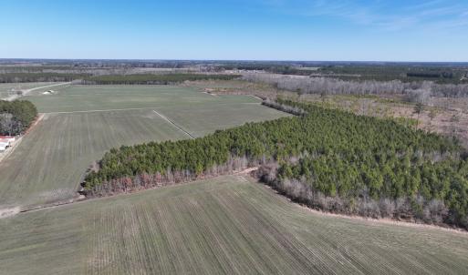 Photo #9 of Off Middle Swamp Rd, Corapeake, NC 49.0 acres