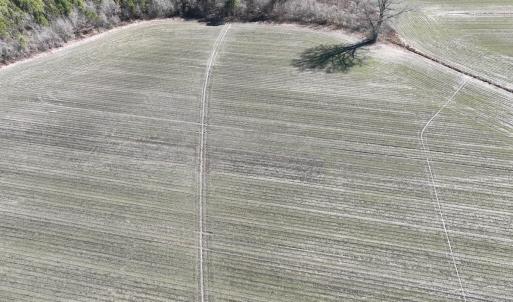 Photo #10 of Off Middle Swamp Rd, Corapeake, NC 49.0 acres
