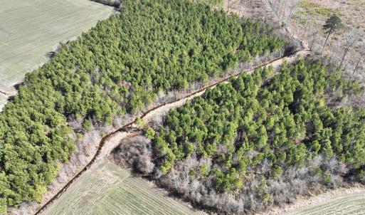 Photo #11 of Off Middle Swamp Rd, Corapeake, NC 49.0 acres