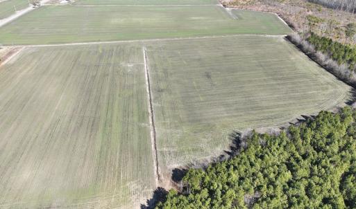 Photo #12 of Off Middle Swamp Rd, Corapeake, NC 49.0 acres