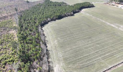 Photo #13 of Off Middle Swamp Rd, Corapeake, NC 49.0 acres