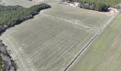 Photo #14 of Off Middle Swamp Rd, Corapeake, NC 49.0 acres