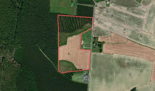 Photo #1 of SOLD property in Off Middle Swamp Rd, Corapeake, NC 44.6 acres
