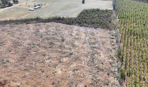 Photo #3 of SOLD property in Off Middle Swamp Rd, Corapeake, NC 44.6 acres