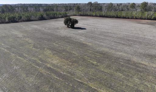 Photo #4 of SOLD property in Off Middle Swamp Rd, Corapeake, NC 44.6 acres