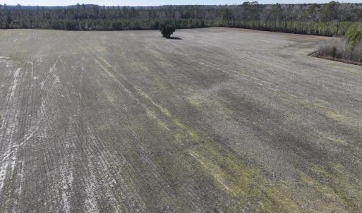 Photo #17 of SOLD property in Off Middle Swamp Rd, Corapeake, NC 44.6 acres
