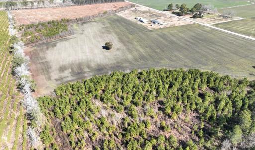 Photo #9 of SOLD property in Off Middle Swamp Rd, Corapeake, NC 44.6 acres