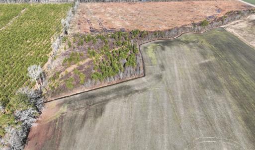 Photo #10 of SOLD property in Off Middle Swamp Rd, Corapeake, NC 44.6 acres
