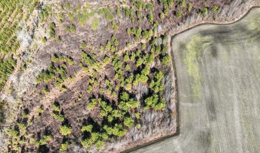 Photo #11 of SOLD property in Off Middle Swamp Rd, Corapeake, NC 44.6 acres
