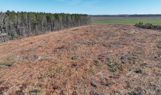 Photo #13 of SOLD property in Off Middle Swamp Rd, Corapeake, NC 44.6 acres