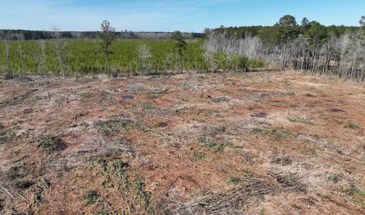 Photo #6 of SOLD property in Off Middle Swamp Rd, Corapeake, NC 44.6 acres