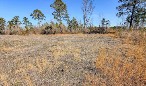 Photo #9 of State HWY 72, Pembroke, NC 29.2 acres