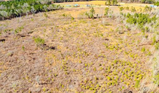 Photo #16 of State HWY 72, Pembroke, NC 29.2 acres