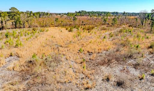 Photo #19 of State HWY 72, Pembroke, NC 29.2 acres