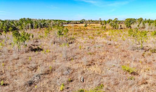 Photo #20 of State HWY 72, Pembroke, NC 29.2 acres