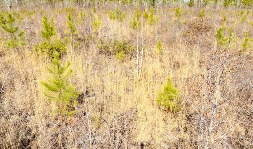Photo #23 of State HWY 72, Pembroke, NC 29.2 acres