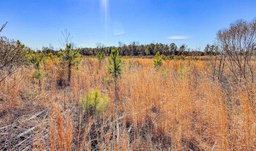 Photo #24 of State HWY 72, Pembroke, NC 29.2 acres