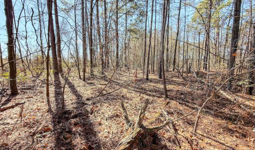 Photo #25 of State HWY 72, Pembroke, NC 29.2 acres