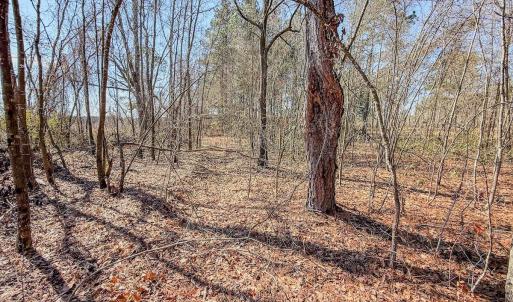 Photo #26 of State HWY 72, Pembroke, NC 29.2 acres