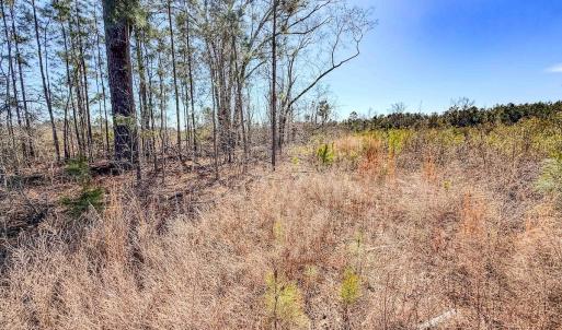 Photo #27 of State HWY 72, Pembroke, NC 29.2 acres