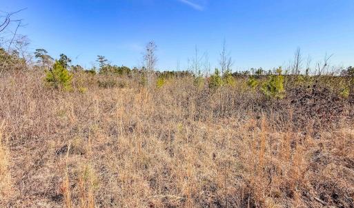 Photo #28 of State HWY 72, Pembroke, NC 29.2 acres