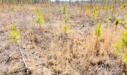Photo #33 of State HWY 72, Pembroke, NC 29.2 acres