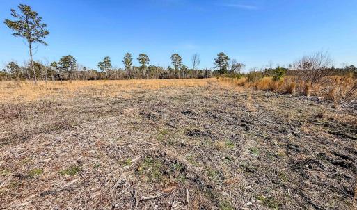 Photo #34 of State HWY 72, Pembroke, NC 29.2 acres