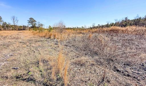Photo #35 of State HWY 72, Pembroke, NC 29.2 acres