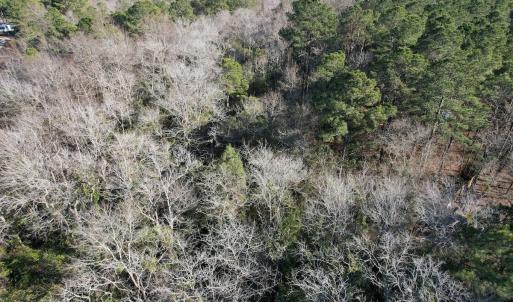 Photo #11 of Off Ashbury Lane, Richlands, NC 10.0 acres