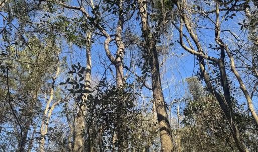 Photo #13 of Off Ashbury Lane, Richlands, NC 10.0 acres