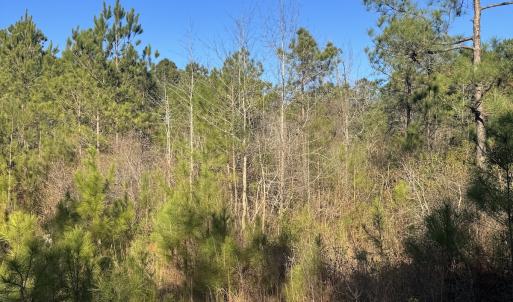 Photo #14 of Off Ashbury Lane, Richlands, NC 10.0 acres