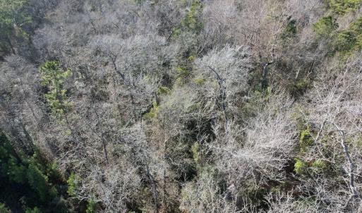 Photo #18 of Off Ashbury Lane, Richlands, NC 10.0 acres