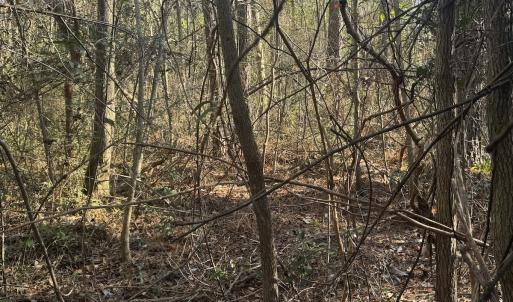 Photo #6 of Off Ashbury Lane, Richlands, NC 10.0 acres