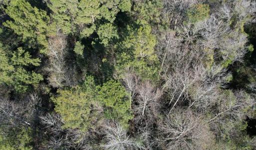 Photo #21 of Off Ashbury Lane, Richlands, NC 10.0 acres