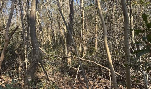 Photo #23 of Off Ashbury Lane, Richlands, NC 10.0 acres