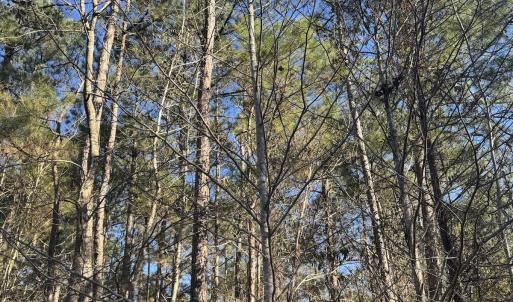Photo #24 of Off Ashbury Lane, Richlands, NC 10.0 acres