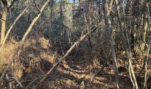 Photo #25 of Off Ashbury Lane, Richlands, NC 10.0 acres