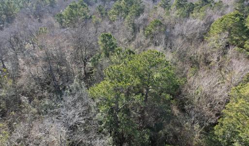 Photo #26 of Off Ashbury Lane, Richlands, NC 10.0 acres