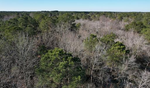 Photo #29 of Off Ashbury Lane, Richlands, NC 10.0 acres