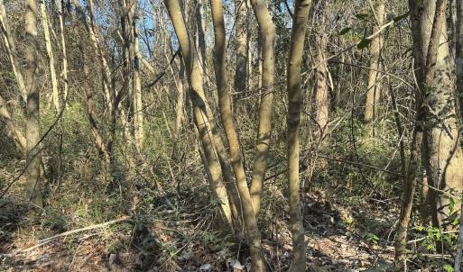Photo #40 of Off Ashbury Lane, Richlands, NC 10.0 acres