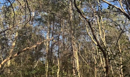 Photo #41 of Off Ashbury Lane, Richlands, NC 10.0 acres