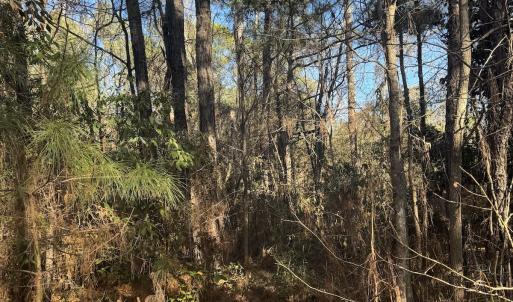 Photo #42 of Off Ashbury Lane, Richlands, NC 10.0 acres