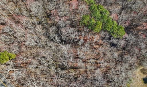 Photo #15 of off Indian Trail Rd - Lot 1, Nashville, NC 4.6 acres
