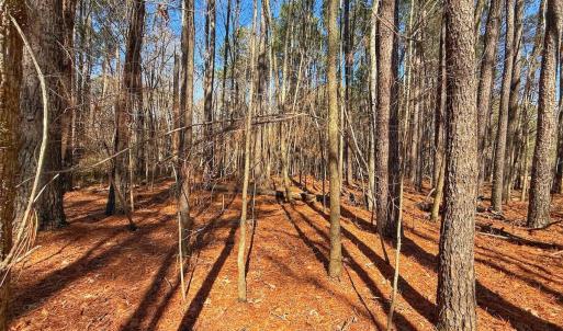 Photo #21 of off Indian Trail Rd - Lot 1, Nashville, NC 4.6 acres