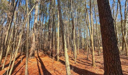 Photo #22 of off Indian Trail Rd - Lot 1, Nashville, NC 4.6 acres