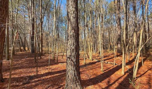 Photo #23 of off Indian Trail Rd - Lot 1, Nashville, NC 4.6 acres