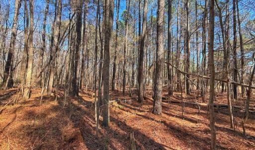 Photo #24 of off Indian Trail Rd - Lot 1, Nashville, NC 4.6 acres
