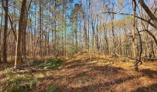 Photo #25 of off Indian Trail Rd - Lot 1, Nashville, NC 4.6 acres